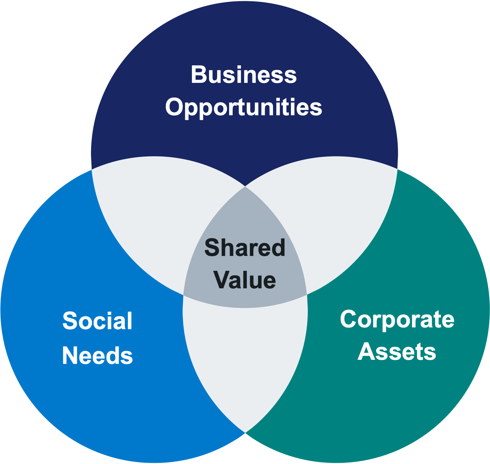 Strategy and Society: The Link Between Competitive Advantage and Corporate Social Responsibility.