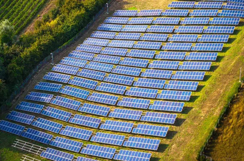 Decarbonization Strategies: Perspectives from Three Tech Leaders