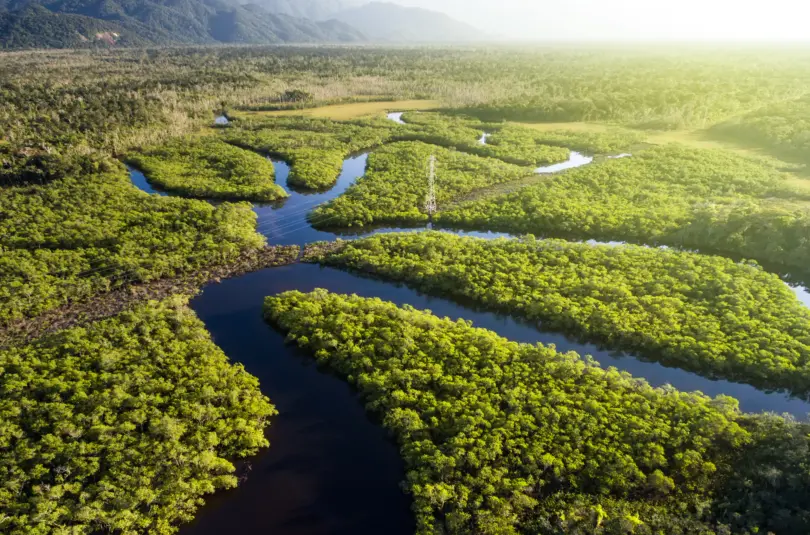 The Final Step to Carbon Neutrality: Procuring High Quality Carbon Offsets