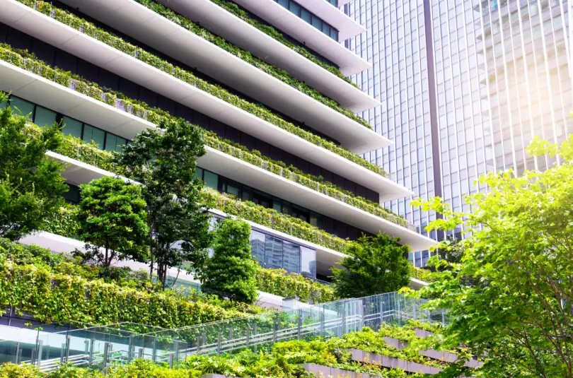 Charting Your Transformation Journey To Net Zero Carbon