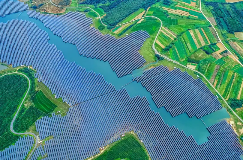 Navigate Shifting Dynamics in the Global Renewable Energy Market