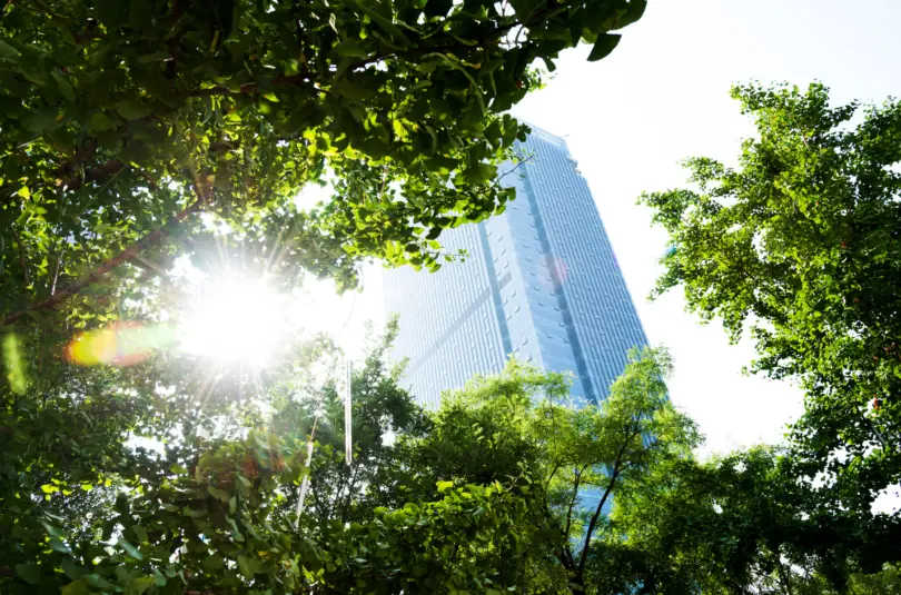Zero Carbon Strategies to Launch Your Organization to the CDP A-List