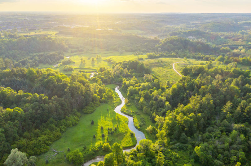 Four Essential Questions Behind a Credible Net Zero Strategy